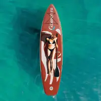 在飛比找蝦皮商城精選優惠-免運#優選#站立式漿板充氣槳板sup槳板雙人沖浪板海上競速槳