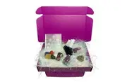 Crystal Wonderland Wellness Treasure Box Gift Set