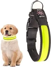 Living Today LED Dog Collar, Adjustable Light Up Led Dog Collars at Night, USB Rechargeable Waterproof Lighted Dog Collar, Comfortable Safety Dog Lights Glow in The Dark for Small Medium Dogs (1 Pack)