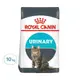 ROYAL CANIN 法國皇家 FCN泌尿道保健成貓 UC33