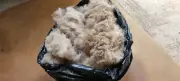 Rockleigh Alpacas - Alpaca Fleece - White - Prince - 850g