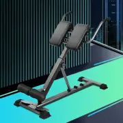 Weight Bench Press Roman Chair Fitness Home Gym Systems Back Extension Strength
