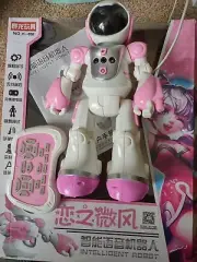 programable and remote control robot