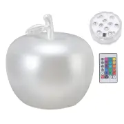 US Inflatable LED Light Up Ball PVC LED Glowing Balls 16 Colors Changing AC