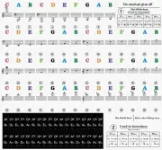 250pcs x 5 in 1 Universal Piano learner Sticker 54/61/88 Key Note Music Keyboard