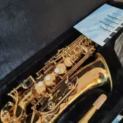 New Alto Saxophone E Flat Gold Professional Saxophone Instrument