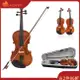 Dagnyr 81.0*26.0*12.0cm 小提琴自然原聲實木雲杉火焰楓木單板小提琴小提琴帶布盒松香