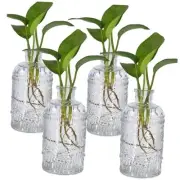 -Piece Modern Transparent Glass Rectangular Propagation Vase Set for Indoor 4