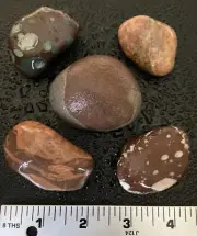 5pc Michigan Jacobsville Sandstone, Unakite, Amygdaloidal Basalt, Rhyolite 10oz