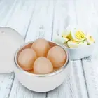 Microwave Egg Cooker Perfect For Boiling Eggs And Separating The Shell