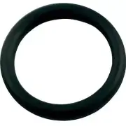 Jandy Zodiac 650500 Pool Cleaner O-Ring