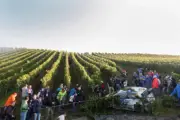 Jari Matti Latvala VW WRC Accident 2014 WRC Rally Car Motor Racing Old Photo 1