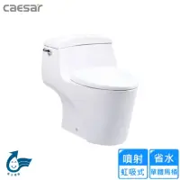 在飛比找momo購物網優惠-【CAESAR 凱撒衛浴】省水單體馬桶(C1353 不含安裝