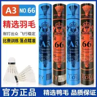 在飛比找蝦皮商城精選優惠-【滿799免運 】青春亞獅龍羽毛球66號A3耐打王穩定防風訓