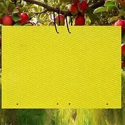 20-Pcs (25 * 20cm) Fruit Insect Fly Traps, Increase Fertilizer, Insect Sticky Trap for in/Outdoor, Greenhouse Vegetables, Lawn, Garden, Farm, Home, Horticulture & Agriculture, Orchard Fields (Yellow)
