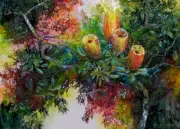 QPuzzles 500XL Piece Jigsaw Puzzle - Banksia Hinterland