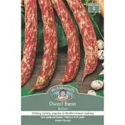 Mr Fothergill's Borlotti Dwarf Bean Vegetable Seed