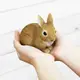 日本magnet寵物存錢筒/ 兔子