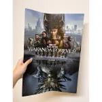 《黑豹2：瓦干達萬歲》BLACK PANTHER: WAKANDA FOREVER電影海報