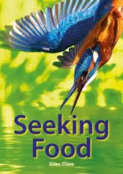 Seeking Food (Set 05) by Giles Clare Paperback Book