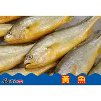 在飛比找蝦皮購物優惠-【黃魚】{船老大海物}台南 西濱 將軍漁港 海釣 冷凍生鮮 