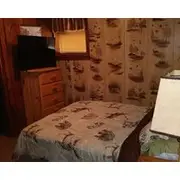 Family/pet-friendly, Secluded Lodge W/ Fishing And Walking Trails Right Outside!
