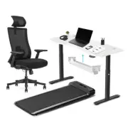 NNEDSZ Lifespan Fitness WalkingPad M2 + ErgoDesk 1500mm White + Cable Management