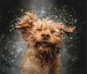 Doodle Shake it off Dog Art Computer Mouse Pad Gift GoldenDoodle Labradoodle