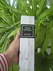 Crisp White Linen Urban Naturals Aromatherapy Reed Diffuser Kit Stick Scent Rare