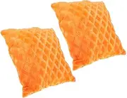 ETHZZLE 2pcs Plush Throw Pillow Covers Soft Cushion Cases for Home Decor Invisible Zipper Design Easy to Wash for Couch and Sofa Adds Art and Fashion to Your Space