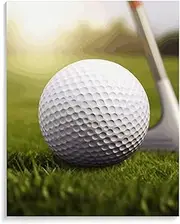 WYUSPGK Paint by Number, Sport Golf Ball Print Acrylic Paint by Number Canvas Paint by Number Paint by Number Gift