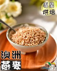 在飛比找樂天市場購物網優惠-【野味食品】燕麥仁(300g/包,600g/包)桃園實體店面