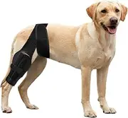 Dog Pet Knee Brace for Support with Cruciate Ligament Injury, Joint Pain and Muscle Sore, Better Recovery with Dog ACL Knee Brace, Adjustable Rear Leg Braces for Dogs Knee Brace (L)
