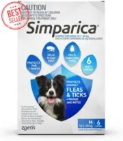 Simparica Flea & Tick Chews for Dogs 10.1–20kg, Blue, Pack of 6