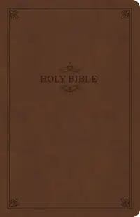 在飛比找誠品線上優惠-KJV Thinline Bible, Brown Leat