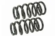 Coil Spring Set Mevotech SMS60044 fits 03-11 Honda Element (for: Honda)