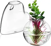 CAXUSD 2Pcs Wall Planters Durable Borosilicate Glass Hydroponics Holder for Indoor Greenery Decor Easy Installation with Mounting Hardware Propagation Station for Water Plants