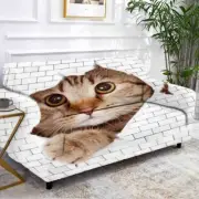 Teeth Eyes Cat Stretch Sofa Cover Lounge Couch Slipcover Recliner Protector