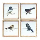 Melrose Int. Framed Bird Art Print, Set of 4, Brown/White - 85171DS
