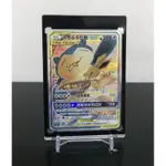 勿下標喔《P子本舖》看板二寵 PTCG 寶可夢 伊布 卡比獸 GX 異圖