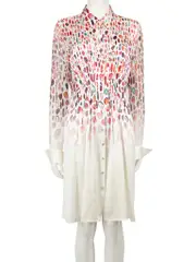 Graphic Printed Silk Shirt Dress
