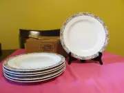 6 RICHARD GINORI 10.5" Dinner Plates ITALY- RARE HARD TO FIND