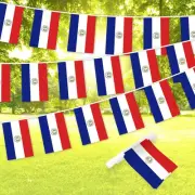 Paraguay Paraguayan Bunting Banner Flag 8.2 x 5.5 Inch, Full String 33