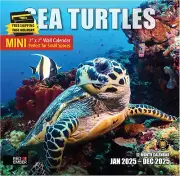Sea Turtles Mini 2025 Wall Calendar 12 Month | 7" X 14" Open | Thick & Sturdy Pa
