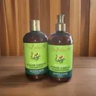 Shea Moisture Power Greens Shampoo Conditioner Lot Moringa Avocado Curly Hair