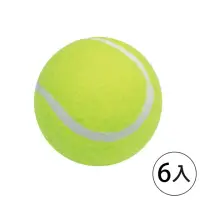 在飛比找momo購物網優惠-【SUCCESS 成功】4311一般練習網球(6入1包)