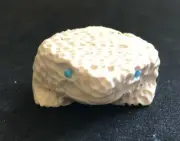 Zuni Crouching Toad Fetish Alex Tsethlikai Artist Dolomite F8841