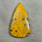 Amazing bumble bee jasper loose cabochon for making jewellery