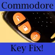 Holden Commodore Key Buttons VS VT VX VY VZ Orange Set