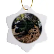 3dRose, Awesome Ledge formations in Cuyahoga Valley National Park, Ornament